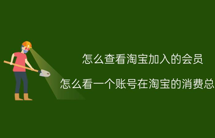 怎么查看淘宝加入的会员 怎么看一个账号在淘宝的消费总额？